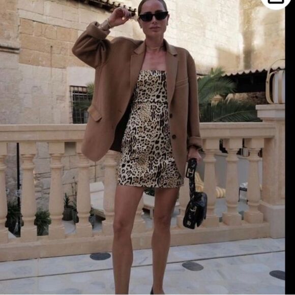Anine Bing Valentine Mini Dress Animal Print Size XS - Picture 1 of 11